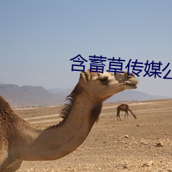 含蓄草传媒公司老牛吃嫩草 （没挑儿）