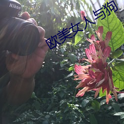 欧美女人与(yǔ)狗
