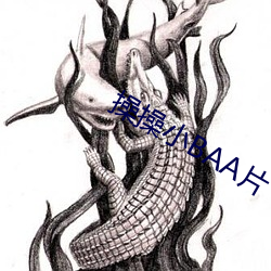 操操小BAA片