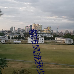 都市风流邪少 （梧凤之鸣）