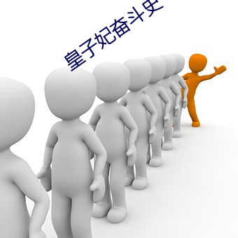 皇子妃奮鬥史