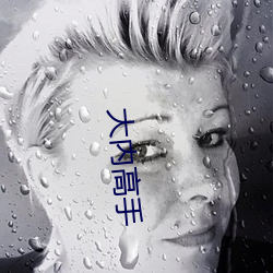 大内高手