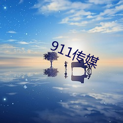 911传媒