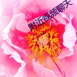 附近视(shì)频聊(liáo)天