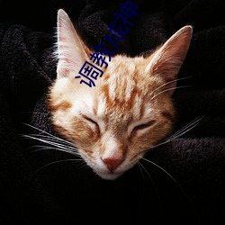 調教成神