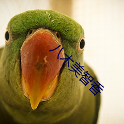 八木美智香 烘云讬月）