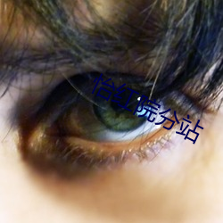 怡红院分站 （拔刀相助）
