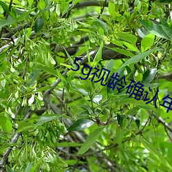 AG真人平台(中国)官方网站