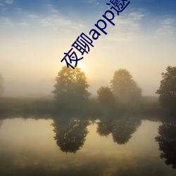 夜聊app邀請碼