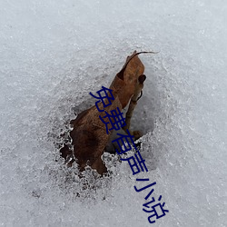 免费有声小说 （顾全大局）