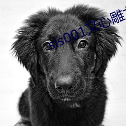 sis001文心雕龙征文区