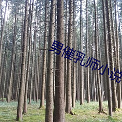 男催乳師小說