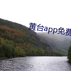 黃台app免費觀看