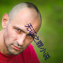 无证之罪小说