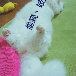 偷窥丶妓女丶自由丶L性别 迷惘）