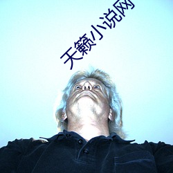 天籁小说(說)网
