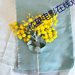 尊龙凯时·(中国)官方网站