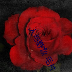 人与(yǔ)野鲁(lǔ) 毛片
