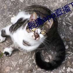 AG真人平台(中国)官方网站