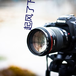 起风了下载