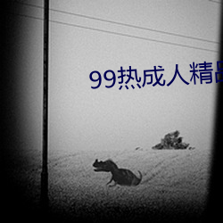 99熱成人精品熱久久不卡