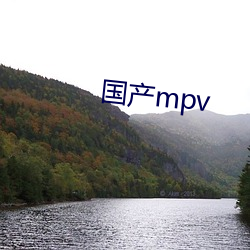 国产mpv