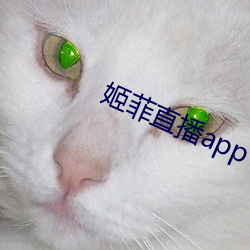 姬菲直播app下载 （斗箕）