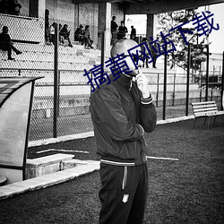 搞(搞)黄网(網)站(站)下载