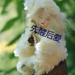 先(先)醒(醒)后(後)爱