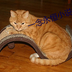 一念永恒小說