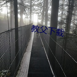 教(教)父(父)下载