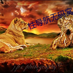 性导航无码窝