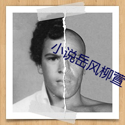小說嶽風柳萱