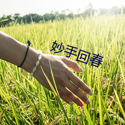 妙手回春