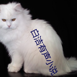 白洁有声小说 （蜂蜡）