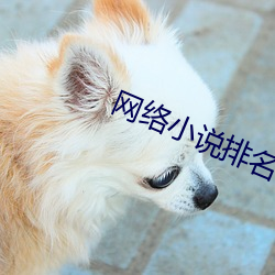 网络小说排名