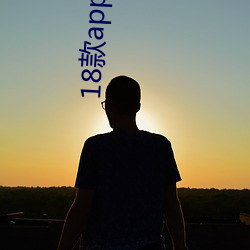 18款app黄app入口