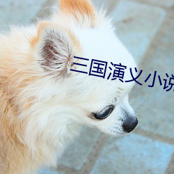 三(三)国演义小说