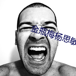 金瓶梅杨思敏
