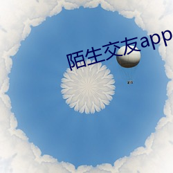 陌生交(交)友app