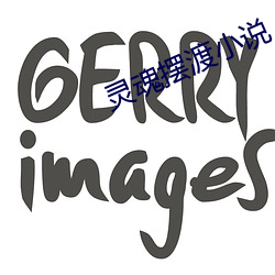 靈魂擺渡小說