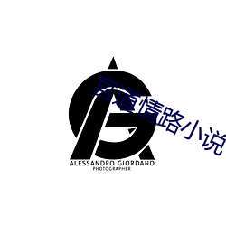 官道情路小说