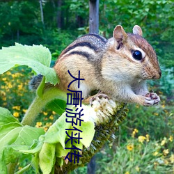 大唐遊俠傳
