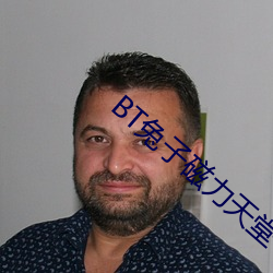 BT兔子磁力天堂