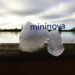 mininova （千丝万缕）