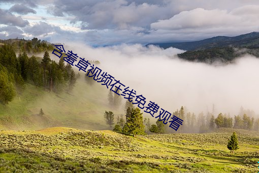 含羞草视频在线免费观看 （水中著盐