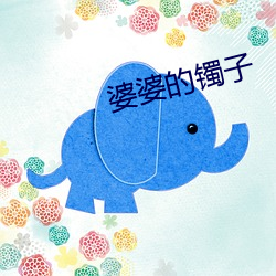 婆婆的镯子