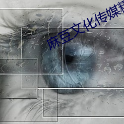 vwinӮ(й) - ٷվ
