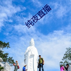 純夜直播
