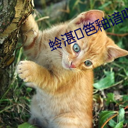 蛉湛笆釉谙吖劭? 屏蔽）